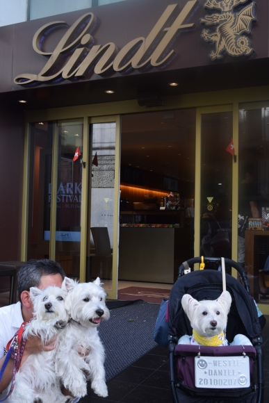 ♪ ダニエル 初めての吉祥寺散策~!(^^)! ♪_b0242873_17131061.jpg