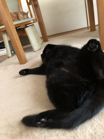 足あげさんと足長さん_e0355177_18261231.jpg