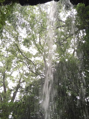 裏見の滝からの~ かなや明渓狭温泉~~♪ _e0123286_19471751.jpg