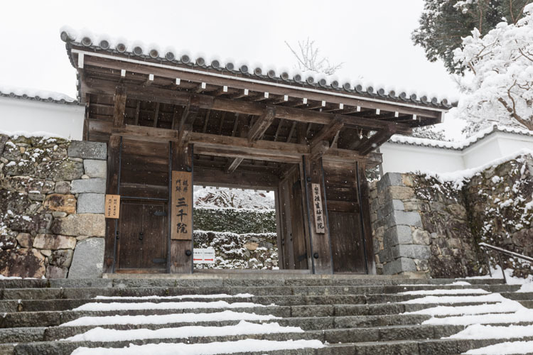 三千院_e0051888_05331150.jpg
