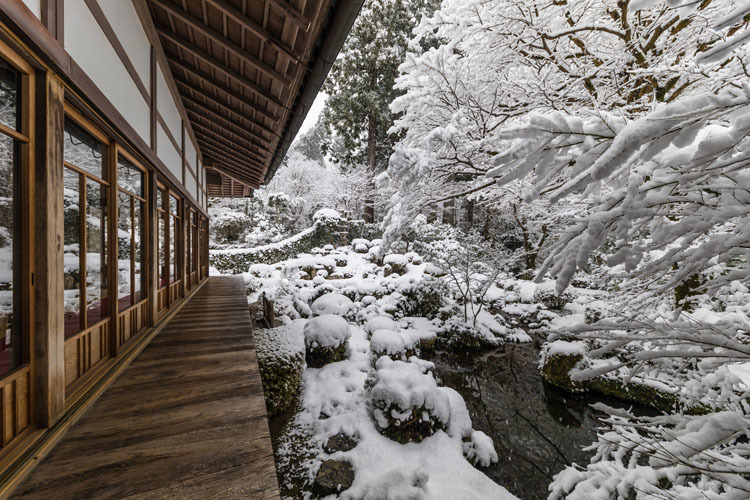 三千院_e0051888_05341310.jpg