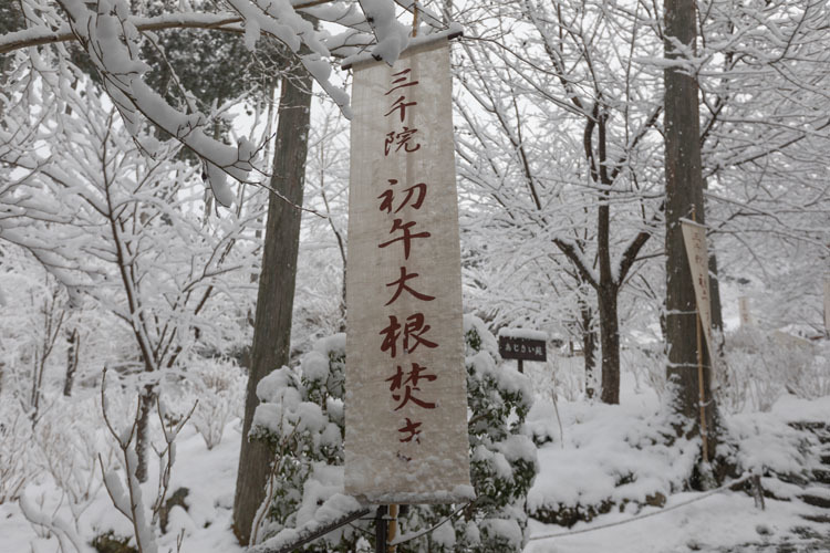 三千院_e0051888_05372808.jpg