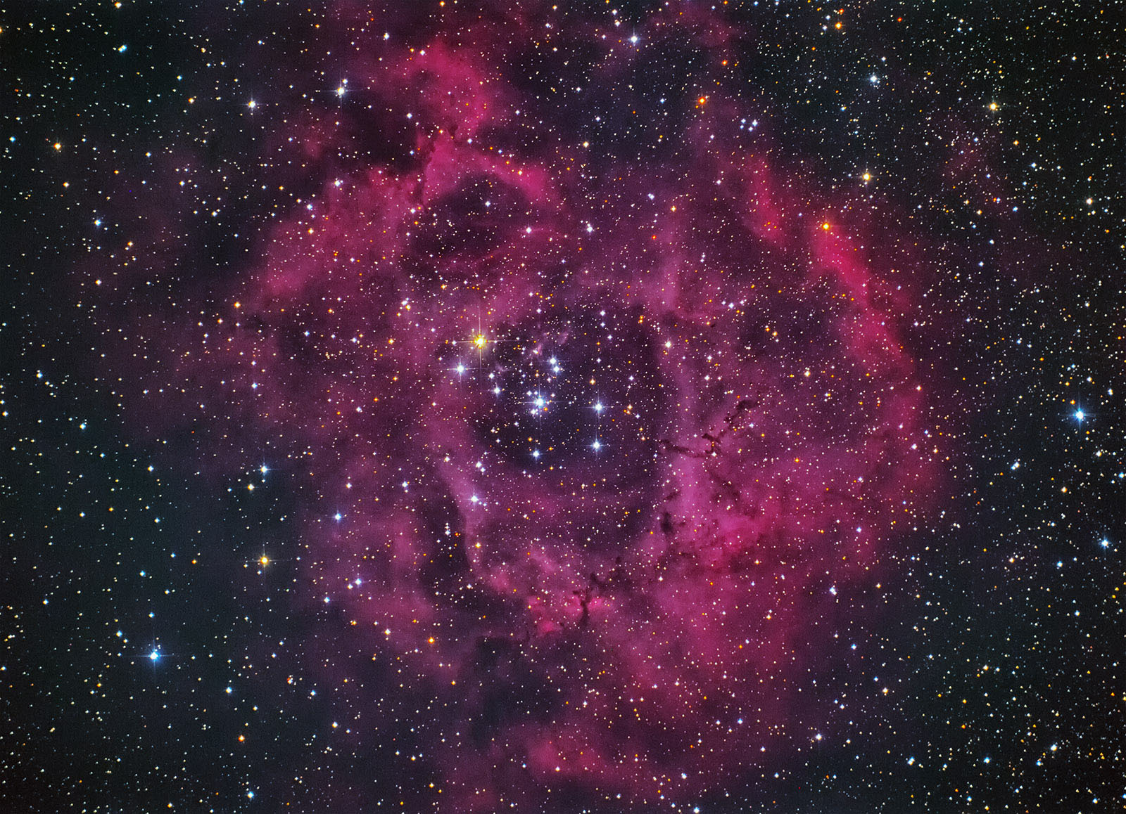 R-200SS復活! _e0174091_11425635.jpg