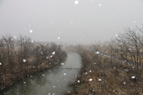 相生橋からの夕方風景　小雪　２０２０．２．２７_c0075701_20263201.jpg