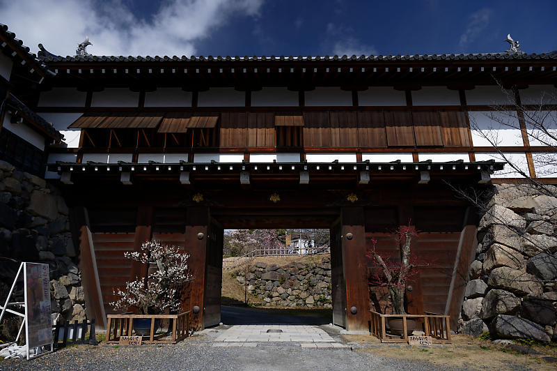 大和郡山 盆梅展 郡山城跡 デジタルな鍛冶屋の写真歩記