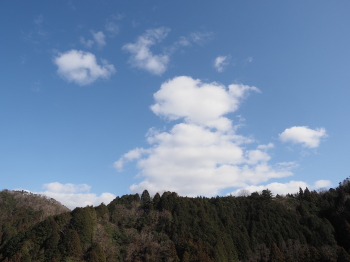 午後は晴れ_c0116915_23523432.jpg