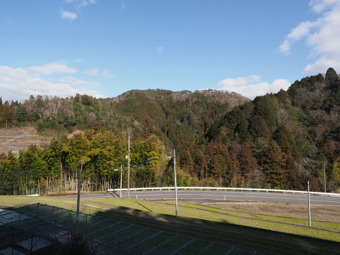 午後は晴れ_c0116915_23525484.jpg