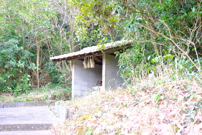 「長崎・壱岐 ハートの手水 矢保佐社」_a0000029_08041415.jpg