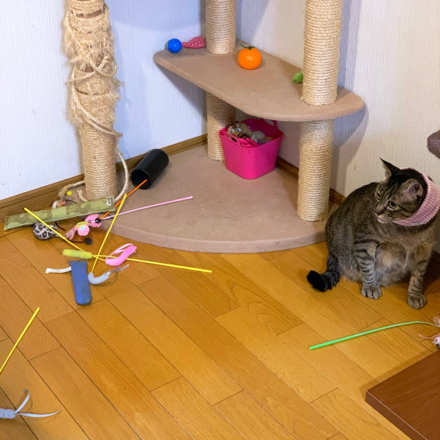 なおしてくださいよ。_d0355333_23122706.jpg