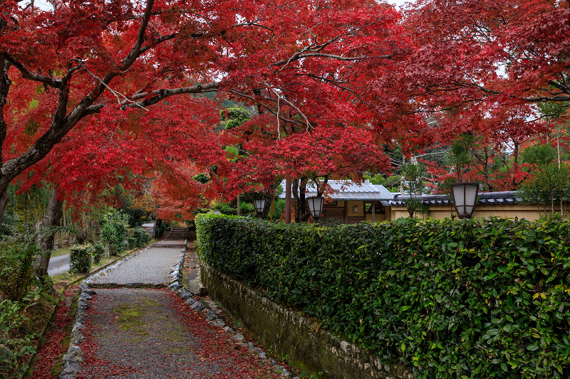 紅葉が彩る京都2019　鳥居本の秋_f0155048_23544110.jpg