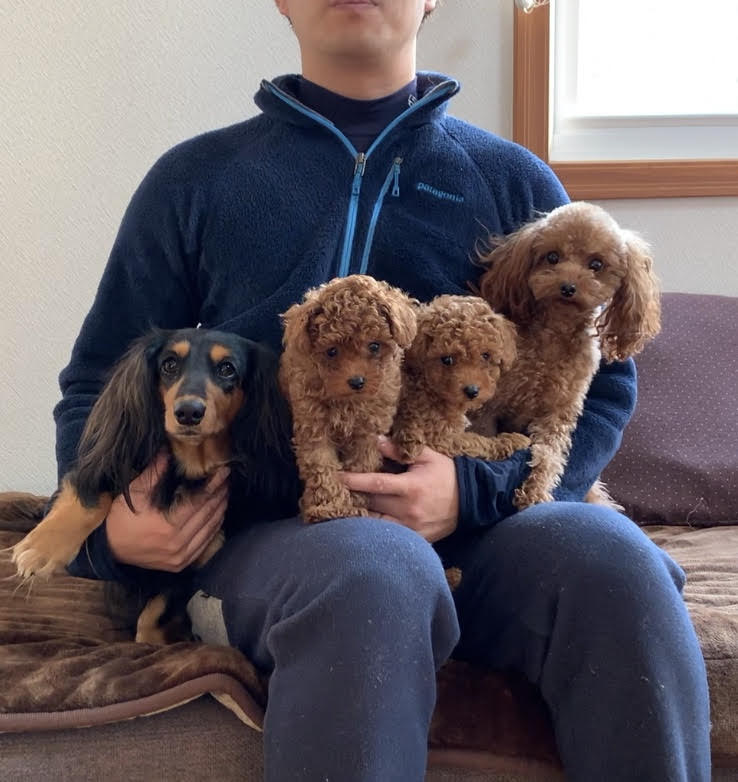 ダックスとトイプードルの尻尾のある家族 ダーリンがカメラを買ってくれました