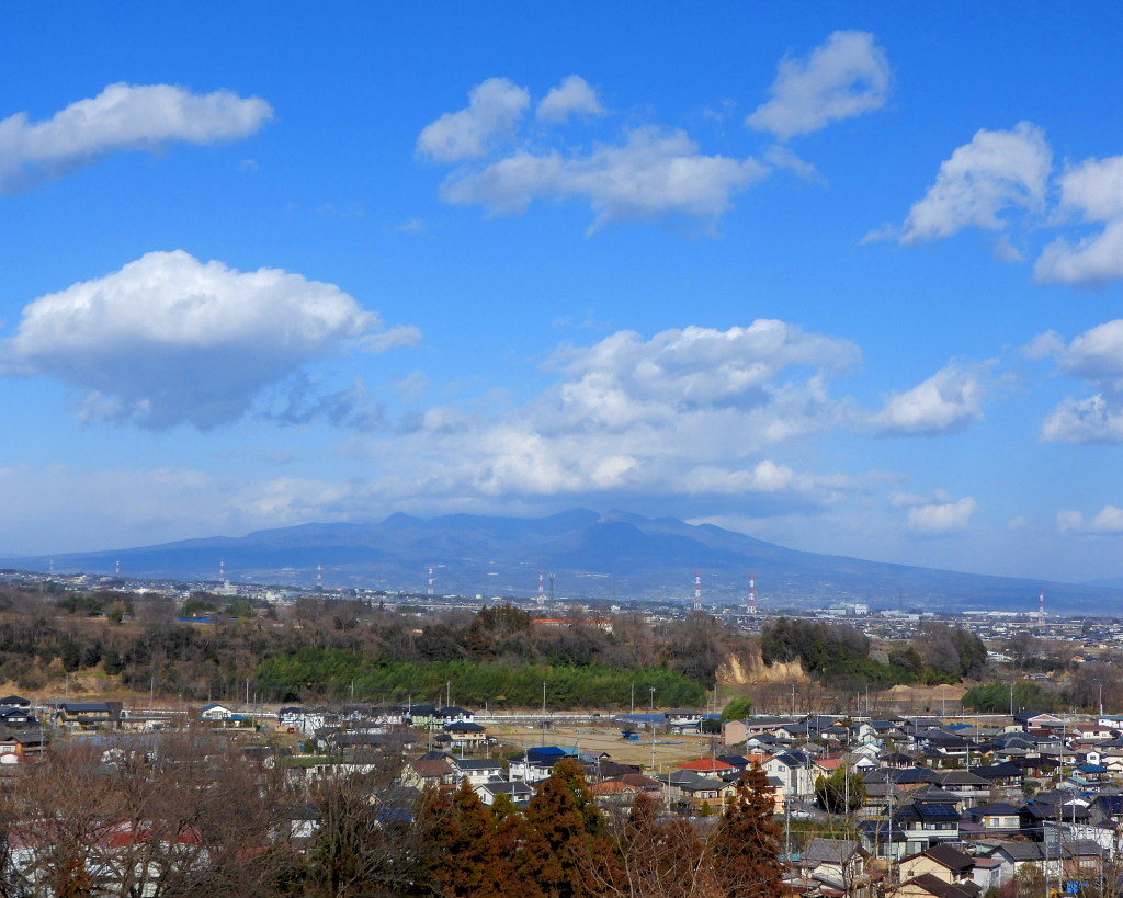ウメの古木と 小耳にはさんでいたコミミズク_c0305565_17421788.jpg