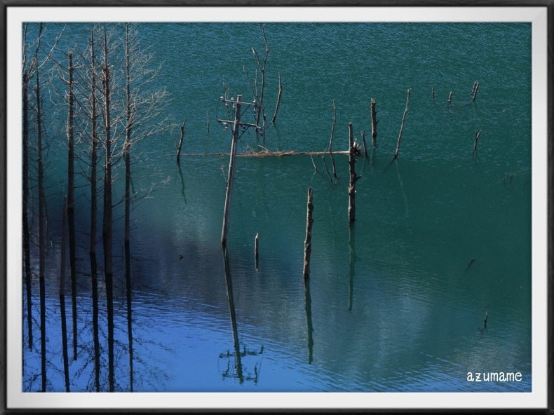 湯西川湖の水没林とヒガラ_d0376975_19370409.jpg