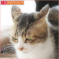 お外の記憶(出版のおしらせ)_a0389088_12473008.jpg
