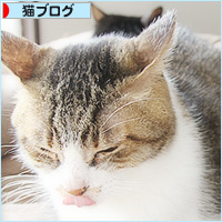 お外の記憶(出版のおしらせ)_a0389088_12473071.jpg