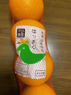 ニコニコ通信 -Vol.10-_f0242002_20222540.jpeg