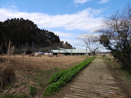 つぼみの季節_a0123836_14114783.jpg