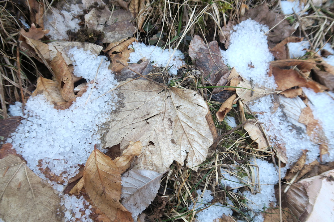 雪どけの水たまり凍るフィオンキ山_f0234936_95291.jpg