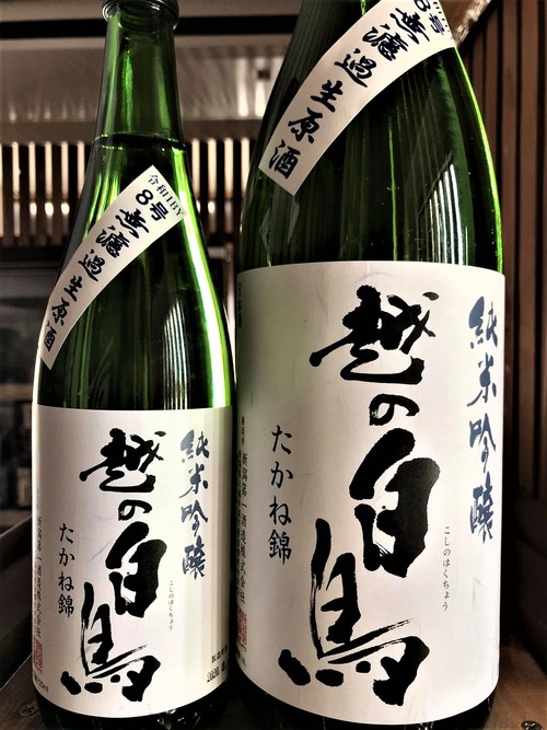 【日本酒】越の白鳥『仕込み8号』純米吟醸 無濾過生原酒 たかね錦55磨き 特別限定蔵出し 令和1BY🆕_e0173738_12304243.jpg
