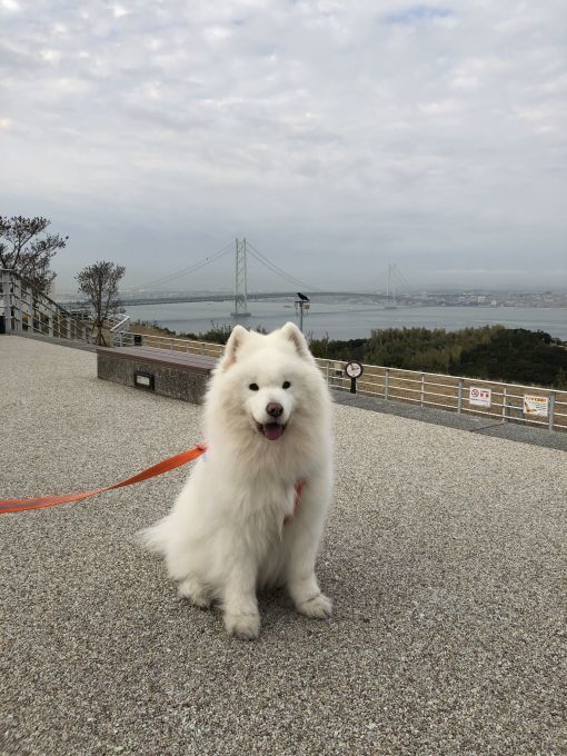 2020年2月 四国旅行_f0128542_02444834.jpg