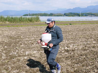 砂田米 熊本県菊池市七城町『砂田のこだわりれんげ米』令和2年もれんげを有機肥料にする土つくりです_a0254656_17370355.jpg