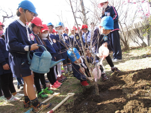 記念植樹_b0233868_17424537.jpg