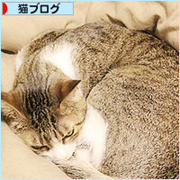 親子のはずが・・・?_a0389088_15321729.jpg