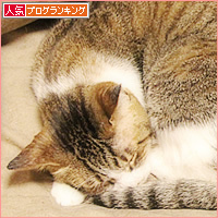 親子のはずが・・・?_a0389088_15321737.jpg