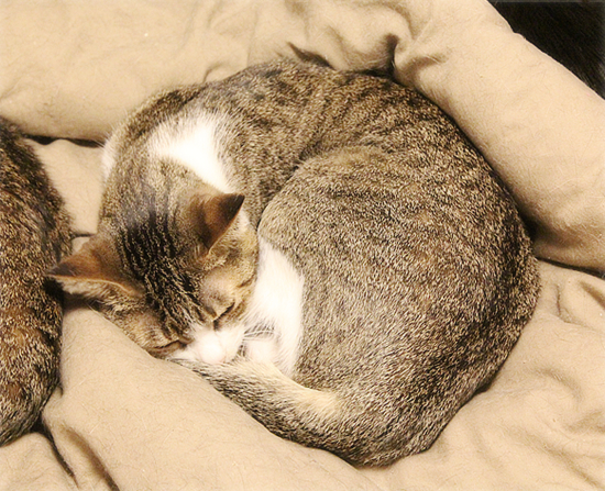 親子のはずが・・・?_a0389088_15321830.jpg