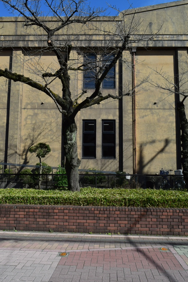埼玉県草加市立草加小学校西校舎(大正モダン建築再訪)_f0142606_12215659.jpg