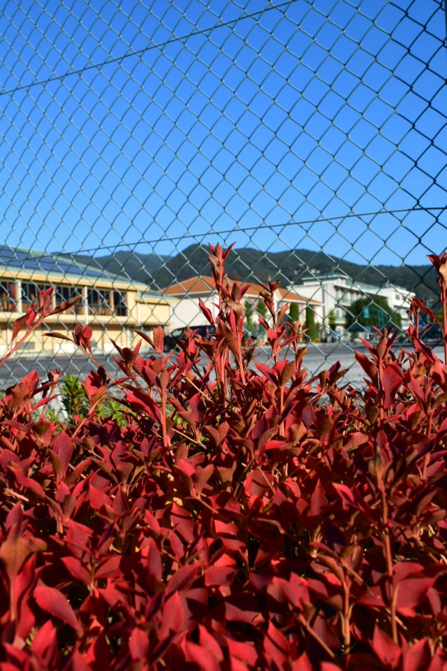 埼玉県草加市立草加小学校西校舎(大正モダン建築再訪)_f0142606_14034059.jpg