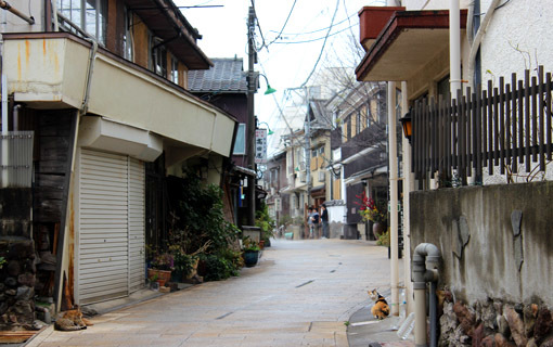 温泉と猫は似合うね☆別府・鉄輪温泉の路地裏とまったりな猫たち_a0329820_17531587.jpg