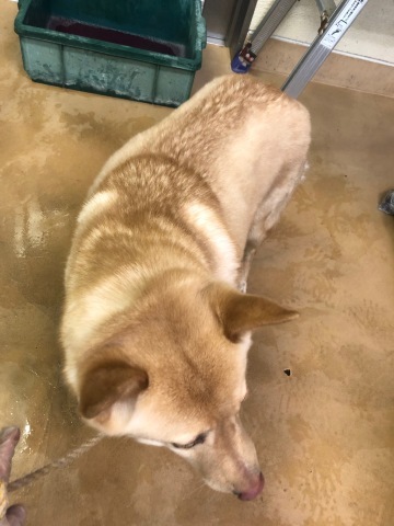 _f0078320_15355184.jpeg