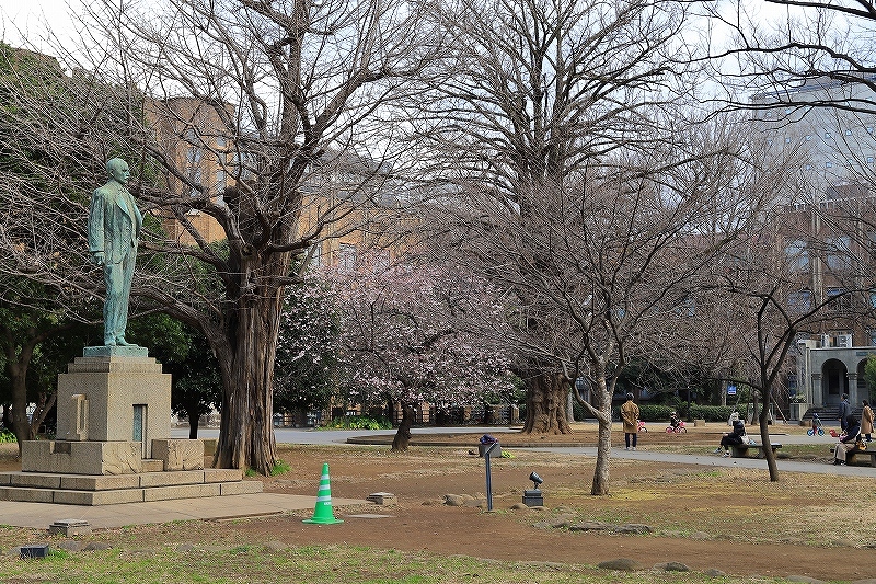 東大レトロ建築探訪 part 2_f0348831_10254207.jpg