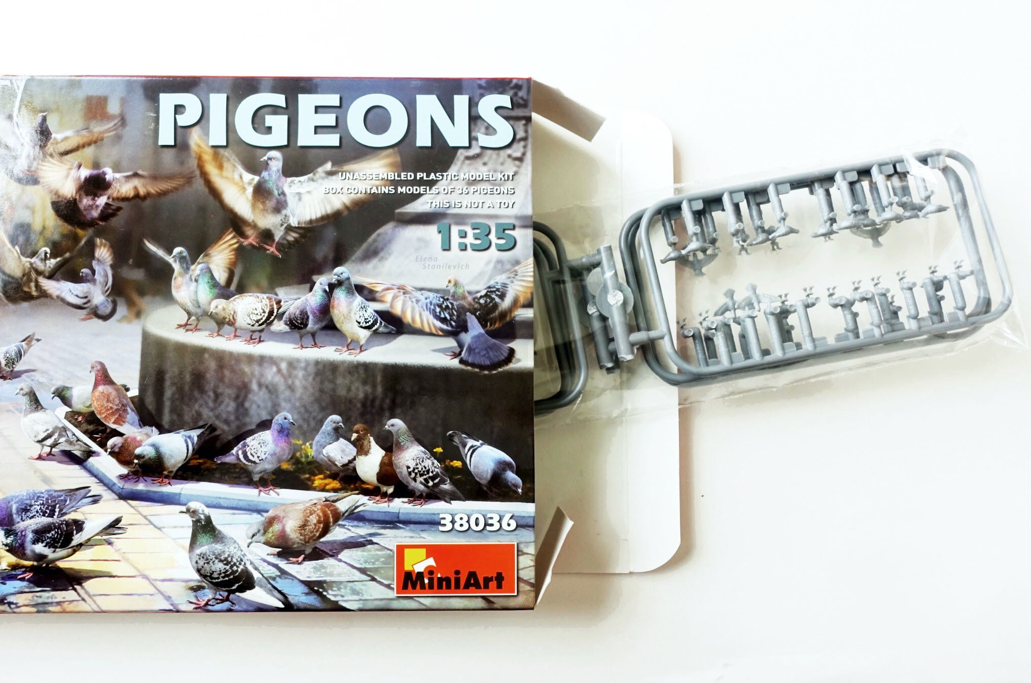 PIGEON&PEACE / はと森ハト 鳩ぽっぽ🇯🇵 (@hato.po.ppo) • Instagram photos and videos