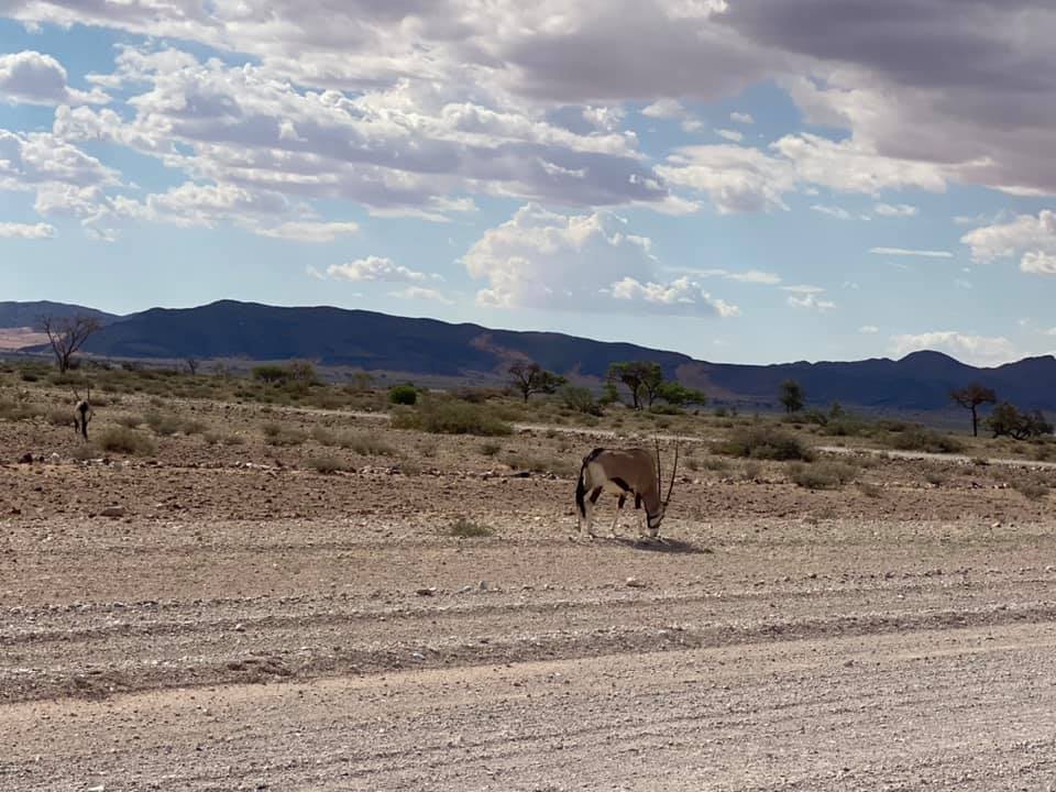 【南アフリカ道中②】ナミブ砂漠のキャンプツアーが始まった　2020.2.25_b0002156_047461.jpg