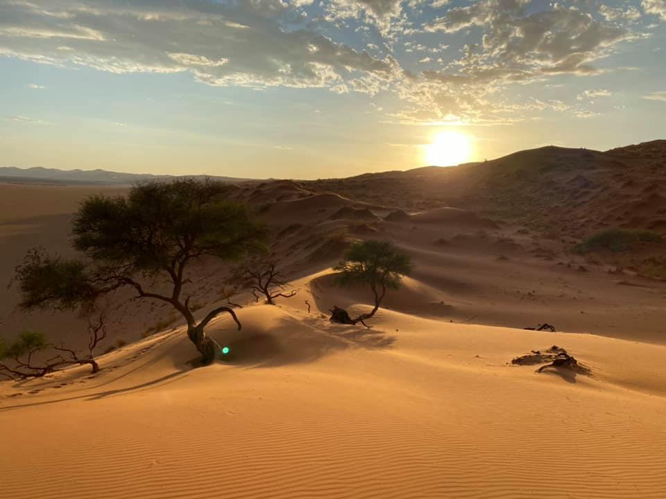 【南アフリカ道中②】ナミブ砂漠のキャンプツアーが始まった　2020.2.25_b0002156_0521394.jpg