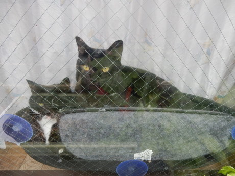 懐かしい写真_e0355177_17212270.jpg