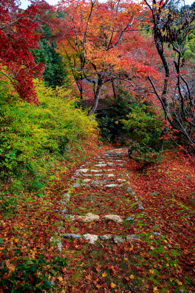 紅葉2019！　　～直指庵～_b0128581_20200854.jpg