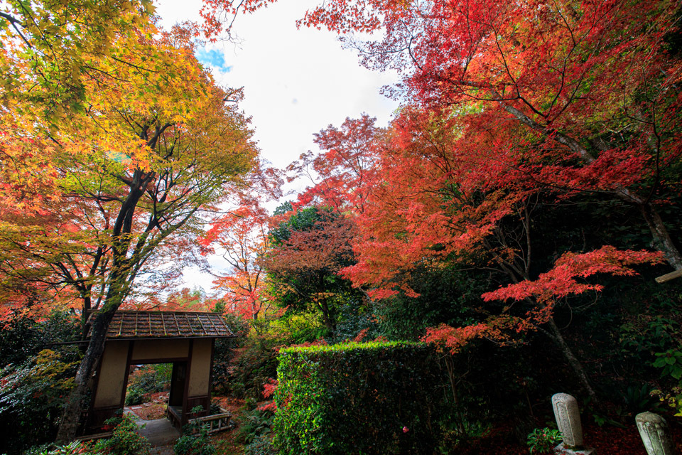 紅葉2019！　　～直指庵～_b0128581_20203971.jpg