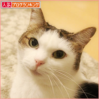 まさかの世代交代?_a0389088_16093820.jpg