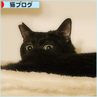 まさかの世代交代?_a0389088_16093838.jpg