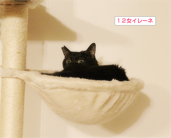 まさかの世代交代?_a0389088_16093918.jpg