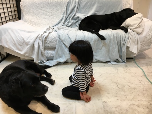 お願いアレクサ_f0347891_22353531.jpeg