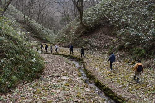 山葵谷を歩いた。_d0087595_16481727.jpeg