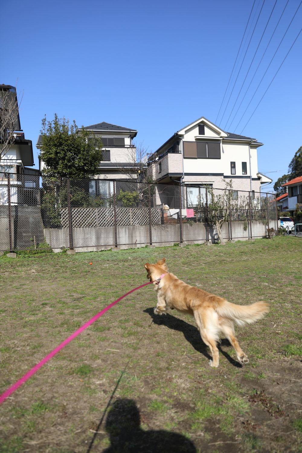 捕獲されました♪_b0275998_14094169.jpg