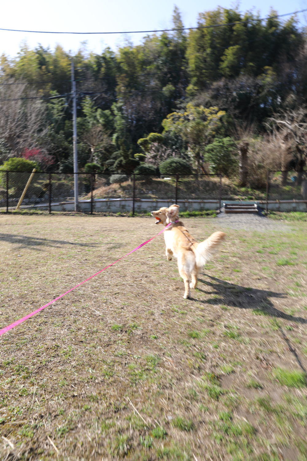 捕獲されました♪_b0275998_14094831.jpg