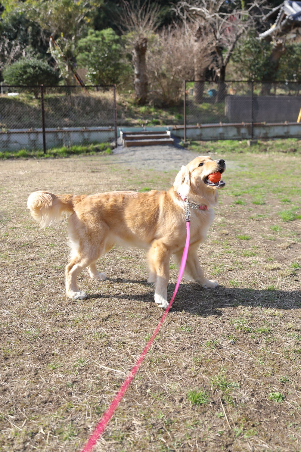 捕獲されました♪_b0275998_14114320.jpg