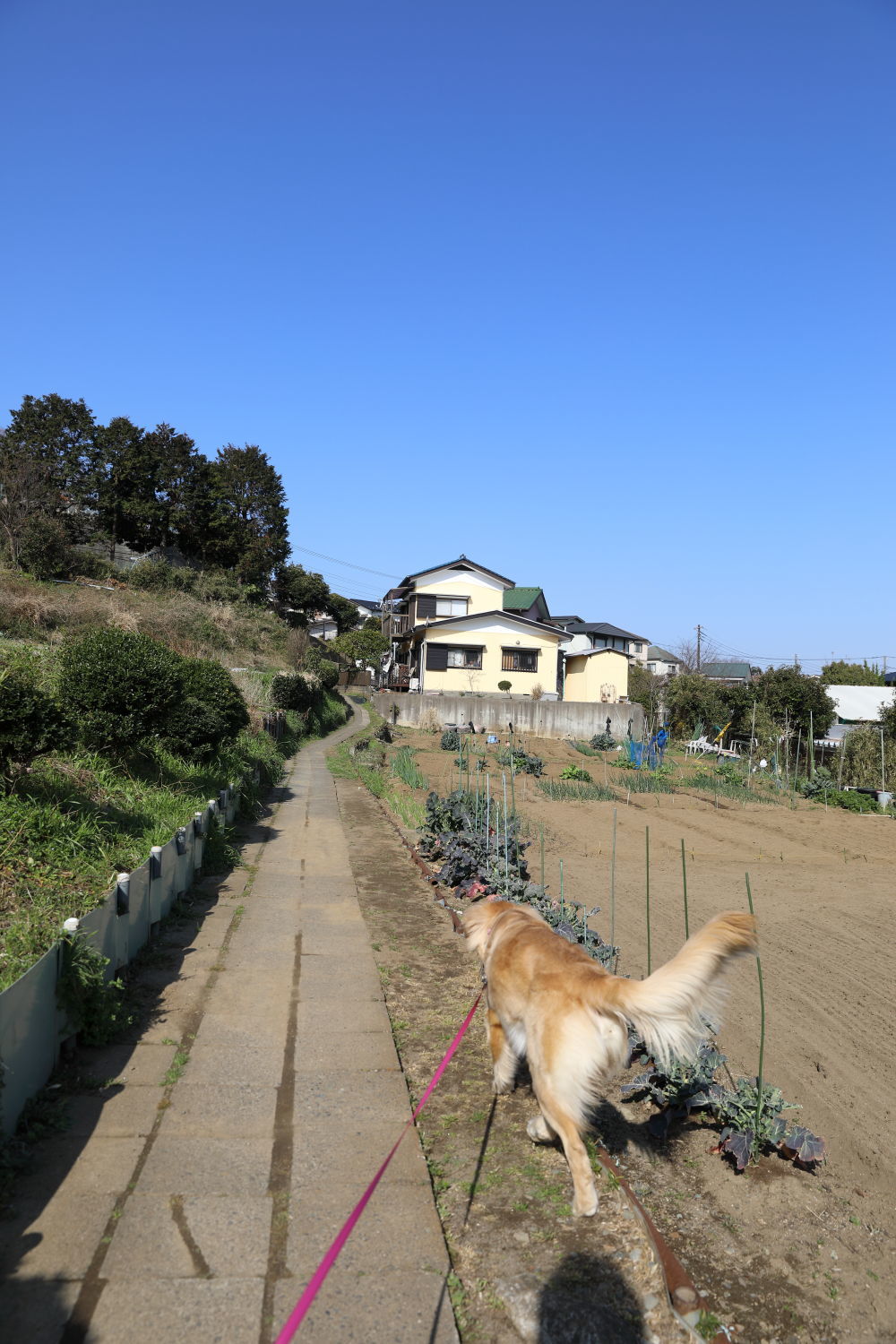 捕獲されました♪_b0275998_14120624.jpg