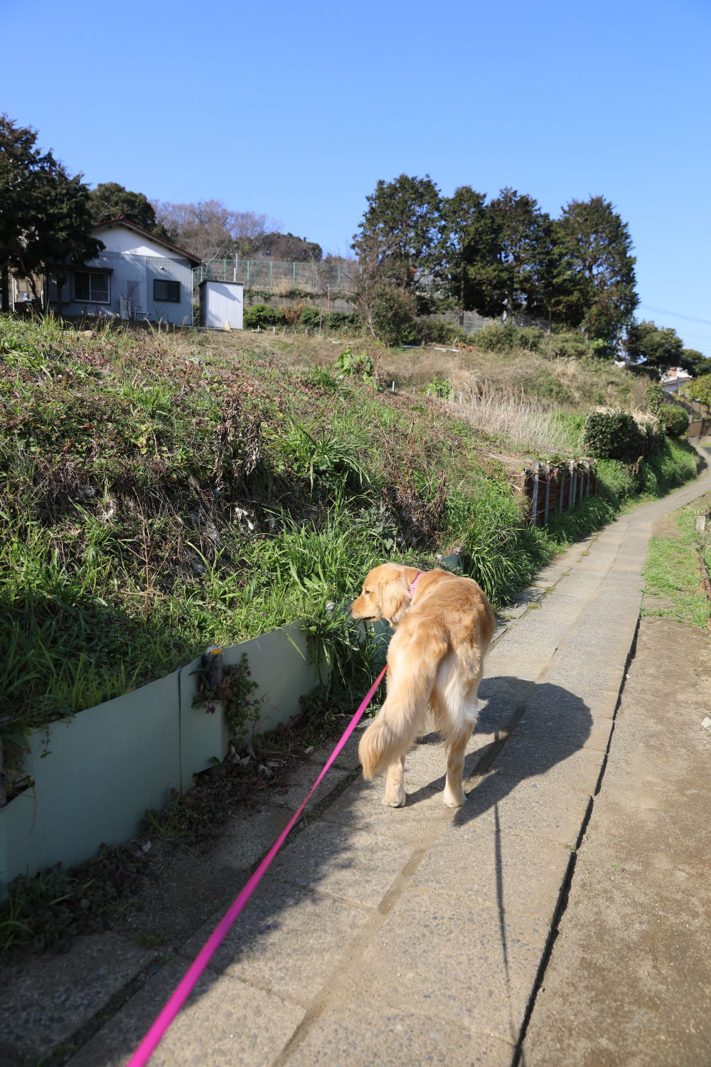 捕獲されました♪_b0275998_14121427.jpg